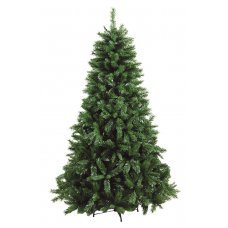 Χριστουγεννιάτικο Δέντρο Καύκασος (2,10m)